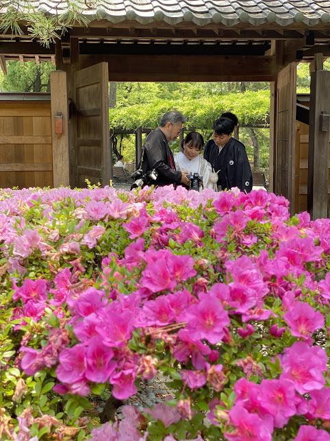 ⑥和装ロケ　中村公園　躑躅　オフショット